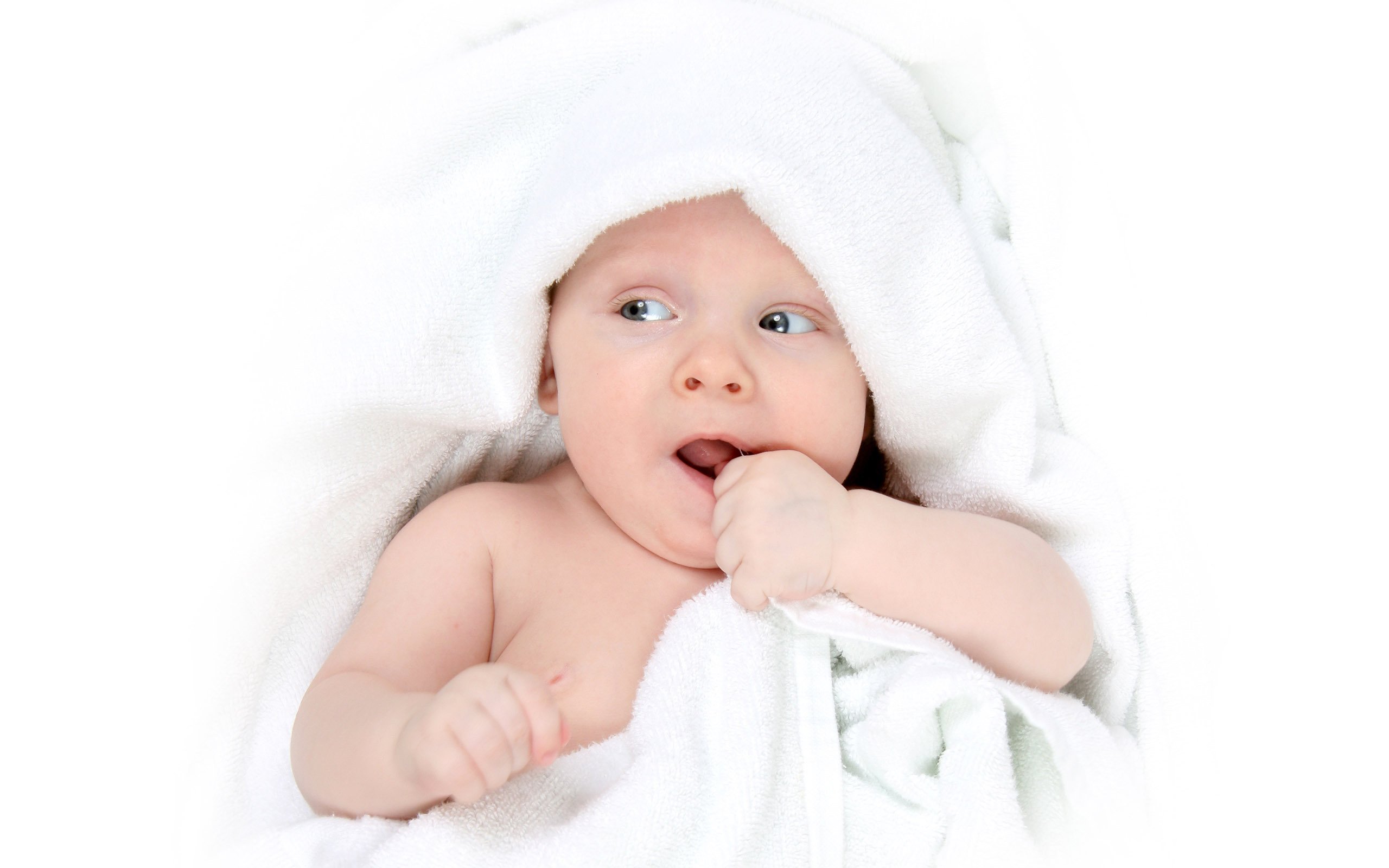 梅州捐卵代怀试管婴儿第四代成功率多少